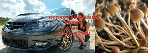 a pvp Медногорск