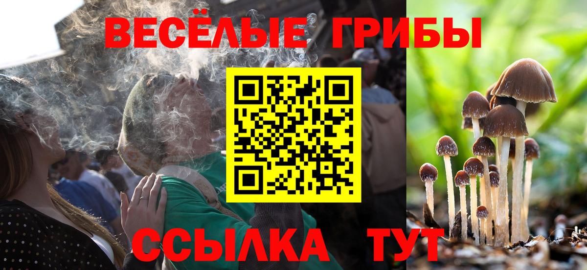 Псилоцибиновые грибы прущие грибы  Вход с VPN  Нарткала  Галлюциногенные грибы Psilocybine cubensis 