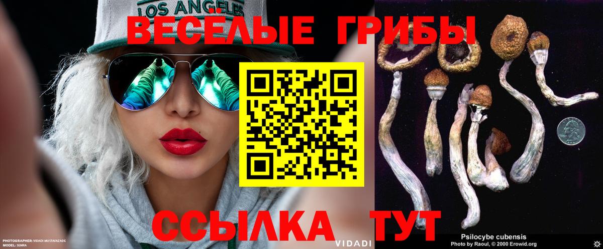 Галлюциногенные грибы мицелий Нарткала
